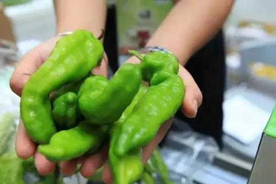 雙十一狂歡下，有機農產品能否依然“好酒不怕巷子深”？