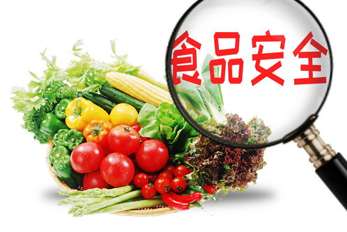 食品質量與安全專業 培養農產品安全衛士的重要領域