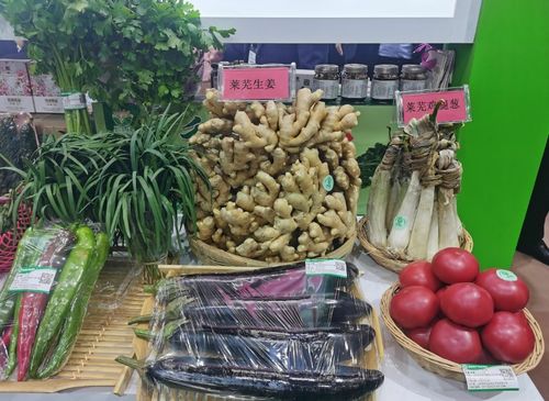 濟南農產品驚艷亮相綠博會，綠色品牌彰顯農業新活力