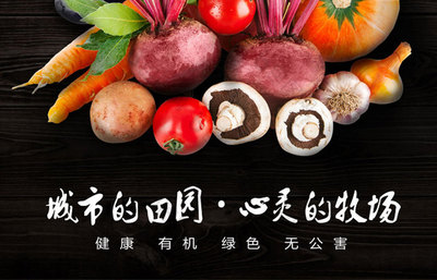 綠色農(nóng)產(chǎn)品海報(bào)設(shè)計(jì) 詮釋自然、品質(zhì)與生態(tài)的視覺(jué)藝術(shù)